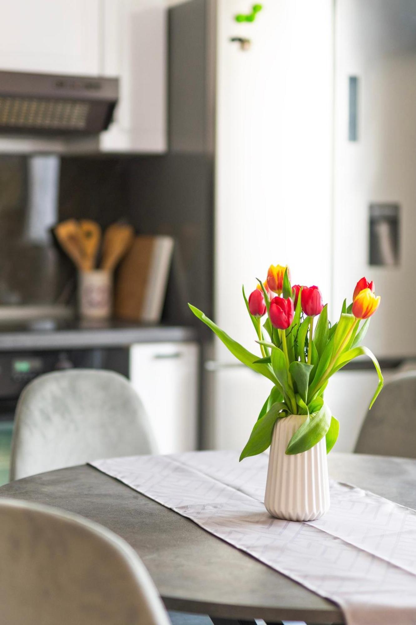 Apartment Vita Izola Kültér fotó